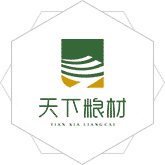 男女白插视频网